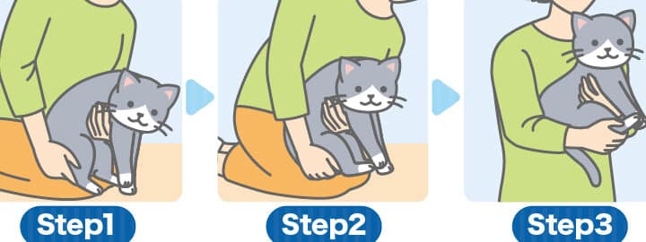 猫の抱っこの仕方: 正しい方法で猫を安心させよう 9 e78cabe381aee68ab1e381a3e38193e381aee4bb95e696b9 e6ada3e38197e38184e696b9e6b395e381a7e78cabe38292e5ae89e5bf83e38195e3819be38288e38186