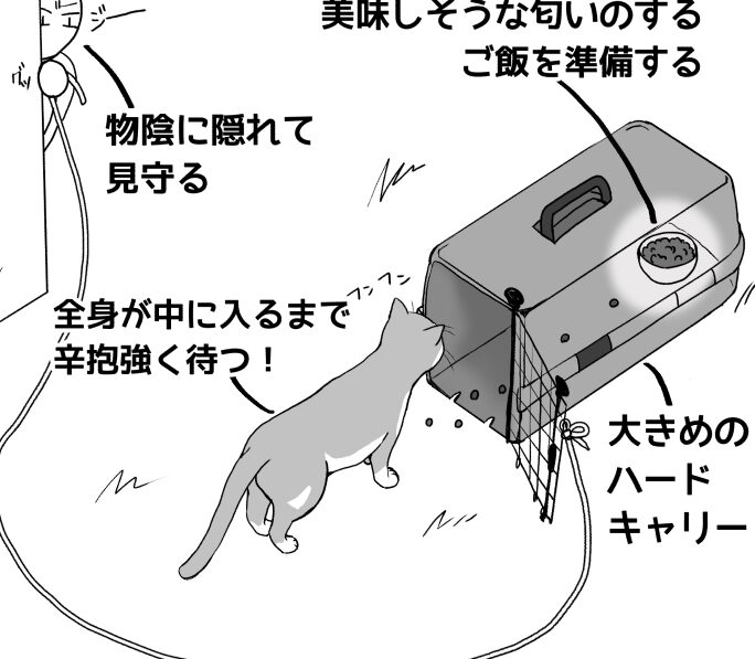 猫の捕獲方法!安全に猫を捕まえるコツ 1 e78cabe381aee68d95e78db2e696b9e6b395efbc81e5ae89e585a8e381abe78cabe38292e68d95e381bee38188e3828be382b3e38384