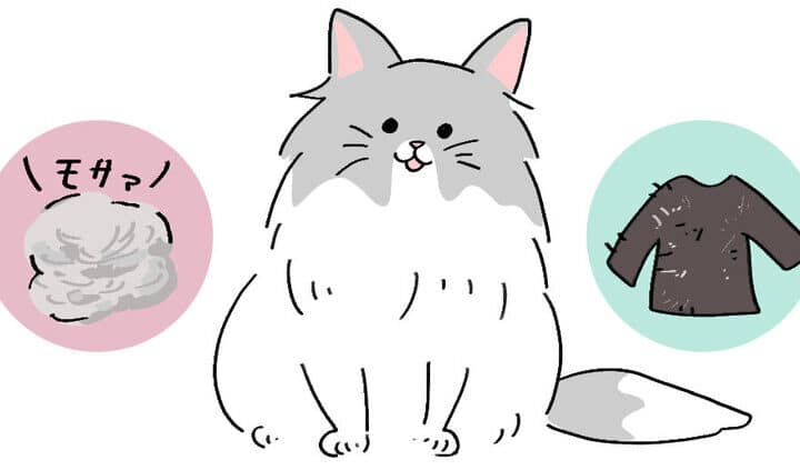 猫の換毛期!室内飼いの猫の抜け毛対策 1 e78cabe381aee68f9be6af9be69c9fefbc81e5aea4e58685e9a3bce38184e381aee78cabe381aee68a9ce38191e6af9be5afbee7ad96