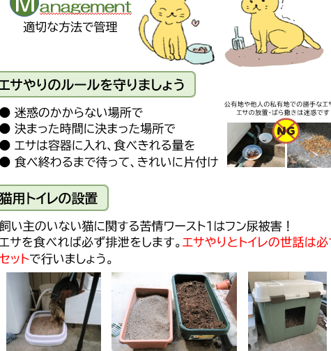 猫の放し飼いは法律違反?地域ごとの条例と注意点 5 e78cabe381aee694bee38197e9a3bce38184e381afe6b395e5be8be98195e58f8defbc9fe59cb0e59f9fe38194e381a8e381aee69da1e4be8be381a8e6b3a8e6848f