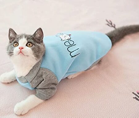 猫の服防寒!寒い冬もあったか猫服 5 e78cabe381aee69c8de998b2e5af92efbc81e5af92e38184e586ace38282e38182e381a3e3819fe3818be78cabe69c8d
