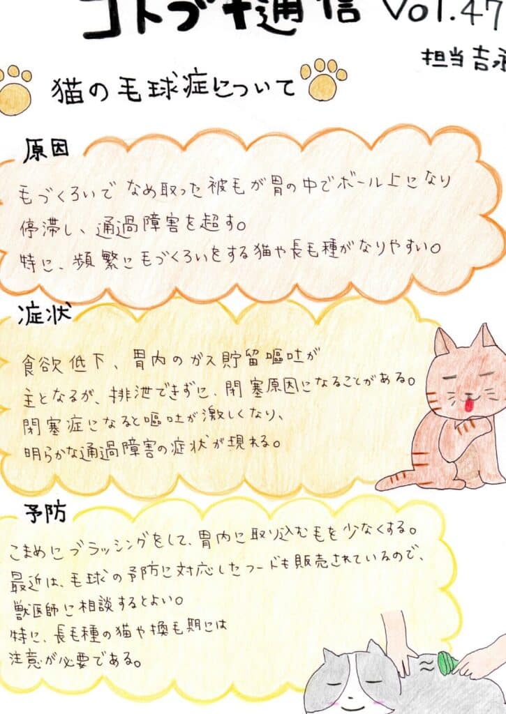 猫の毛が固まる原因と対処法!毛玉症との違い 5 e78cabe381aee6af9be3818ce59bbae381bee3828be58e9fe59ba0e381a8e5afbee587a6e6b395efbc81e6af9be78e89e79787e381a8e381aee98195e38184