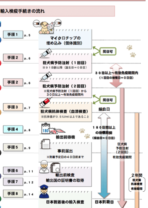 猫の海外渡航!必要な手続きと注意点 5 e78cabe381aee6b5b7e5a496e6b8a1e888aaefbc81e5bf85e8a681e381aae6898be7b69ae3818de381a8e6b3a8e6848fe782b9