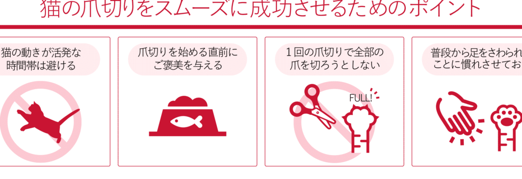 猫の爪の切り方:正しい爪切り方法と注意点 5 e78cabe381aee788aae381aee58887e3828ae696b9efbc9ae6ada3e38197e38184e788aae58887e3828ae696b9e6b395e381a8e6b3a8e6848fe782b9