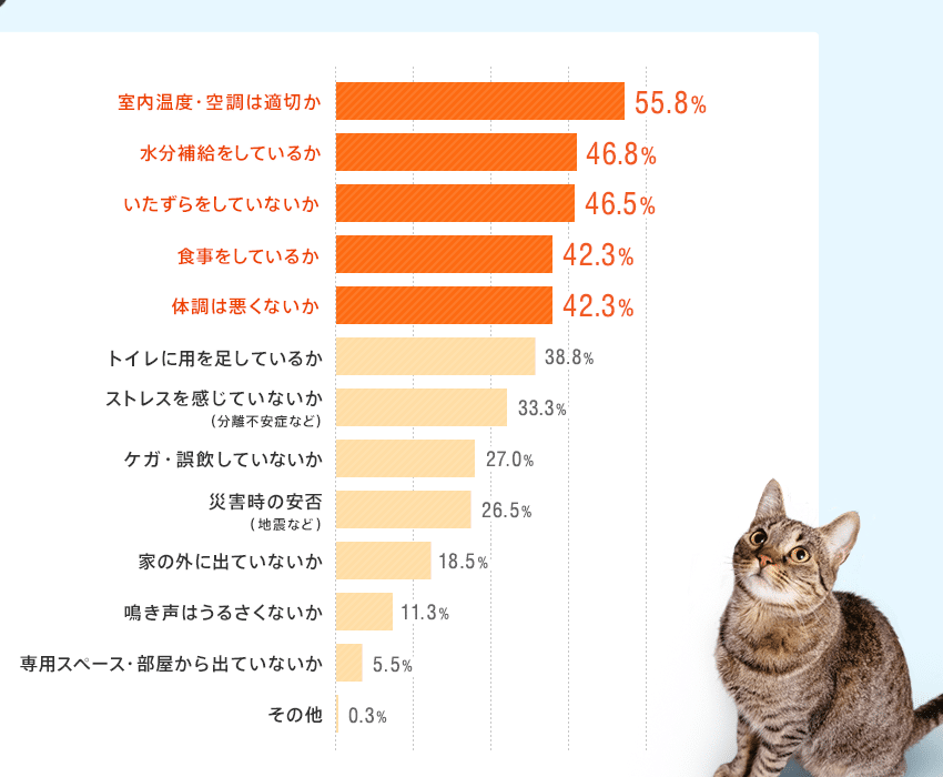 猫の留守番: 安心して留守番させる方法 5 e78cabe381aee79599e5ae88e795aa e5ae89e5bf83e38197e381a6e79599e5ae88e795aae38195e3819be3828be696b9e6b395