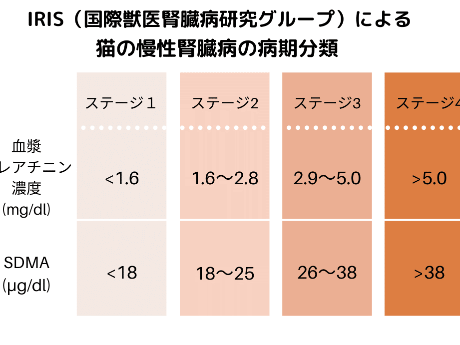 猫の腎臓数値!正常値と異常値、検査方法 5 e78cabe381aee8858ee88793e695b0e580a4efbc81e6ada3e5b8b8e580a4e381a8e795b0e5b8b8e580a4e38081e6a49ce69fbbe696b9e6b395