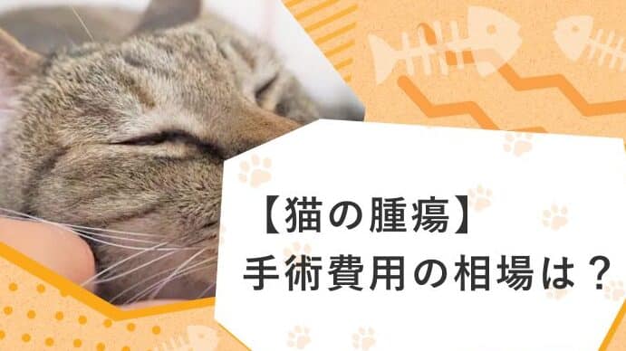 猫の腫瘍手術費用!種類別の費用相場 5 e78cabe381aee885abe7988de6898be8a193e8b2bbe794a8efbc81e7a8aee9a19ee588a5e381aee8b2bbe794a8e79bb8e5a0b4