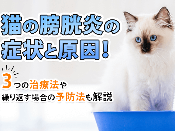 猫の膀胱炎、原因と症状、治療法を解説 5 e78cabe381aee88680e883b1e7828ee38081e58e9fe59ba0e381a8e79787e78ab6e38081e6b2bbe79982e6b395e38292e8a7a3e8aaac