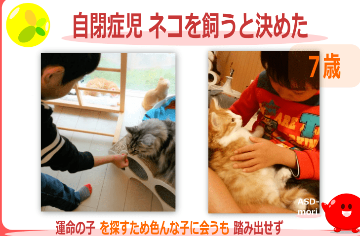 猫の自閉症!症状と原因、治療法について解説 5 e78cabe381aee887aae99689e79787efbc81e79787e78ab6e381a8e58e9fe59ba0e38081e6b2bbe79982e6b395e381abe381a4e38184e381a6e8a7a3e8aaac