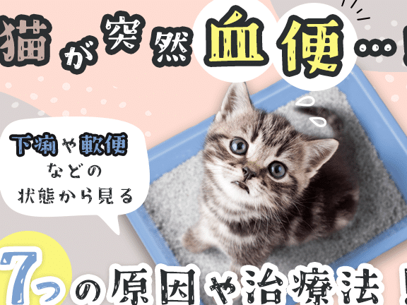 猫の血便原因!寄生虫や病気の可能性 5 e78cabe381aee8a180e4bebfe58e9fe59ba0efbc81e5af84e7949fe899abe38284e79785e6b097e381aee58fafe883bde680a7