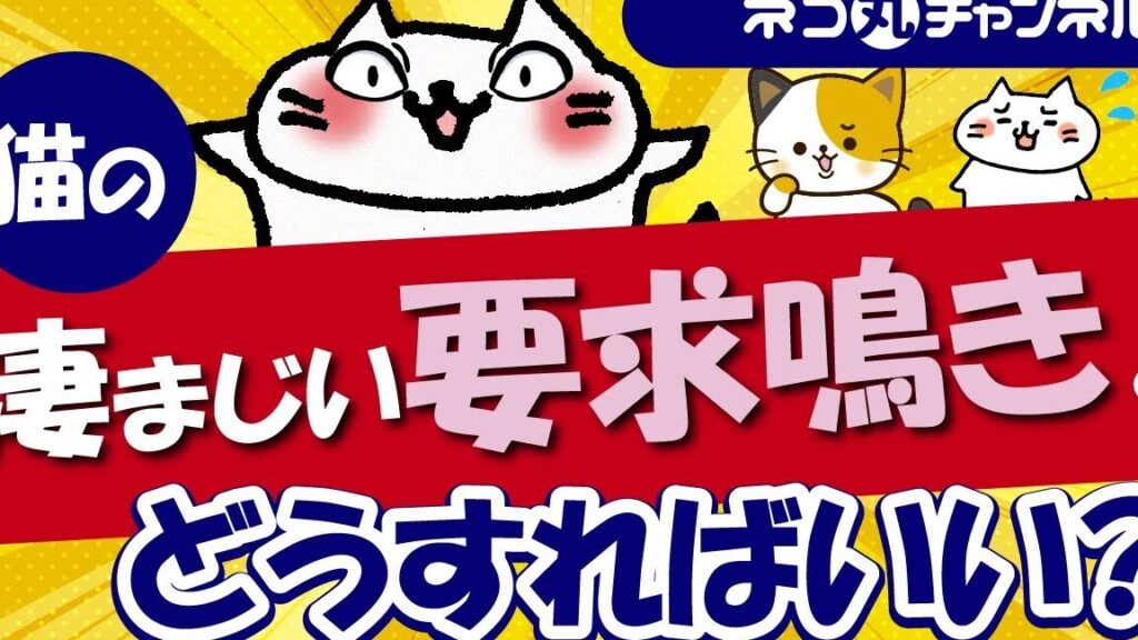 猫の要求鳴きがひどい: どう対処すればいい? 5 e78cabe381aee8a681e6b182e9b3b4e3818de3818ce381b2e381a9e38184 e381a9e38186e5afbee587a6e38199e3828ce381b0e38184e38184efbc9f