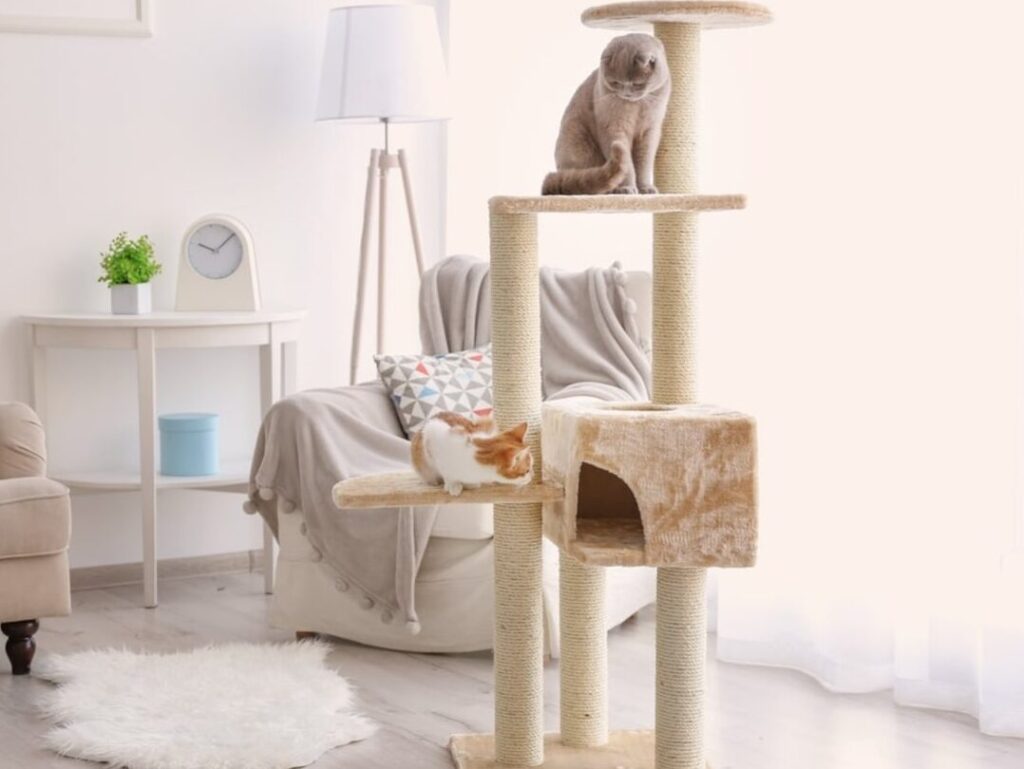 猫の部屋:快適な猫部屋を作るためのポイント 5 e78cabe381aee983a8e5b18befbc9ae5bfabe981a9e381aae78cabe983a8e5b18be38292e4bd9ce3828be3819fe38281e381aee3839de382a4e383b3e38388
