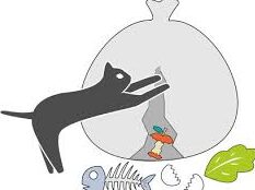 猫の駆除:効果的な方法と注意点、業者に依頼する場合 1 e78cabe381aee9a786e999a4efbc9ae58ab9e69e9ce79a84e381aae696b9e6b395e381a8e6b3a8e6848fe782b9e38081e6a5ade88085e381abe4be9de9a0bce38199