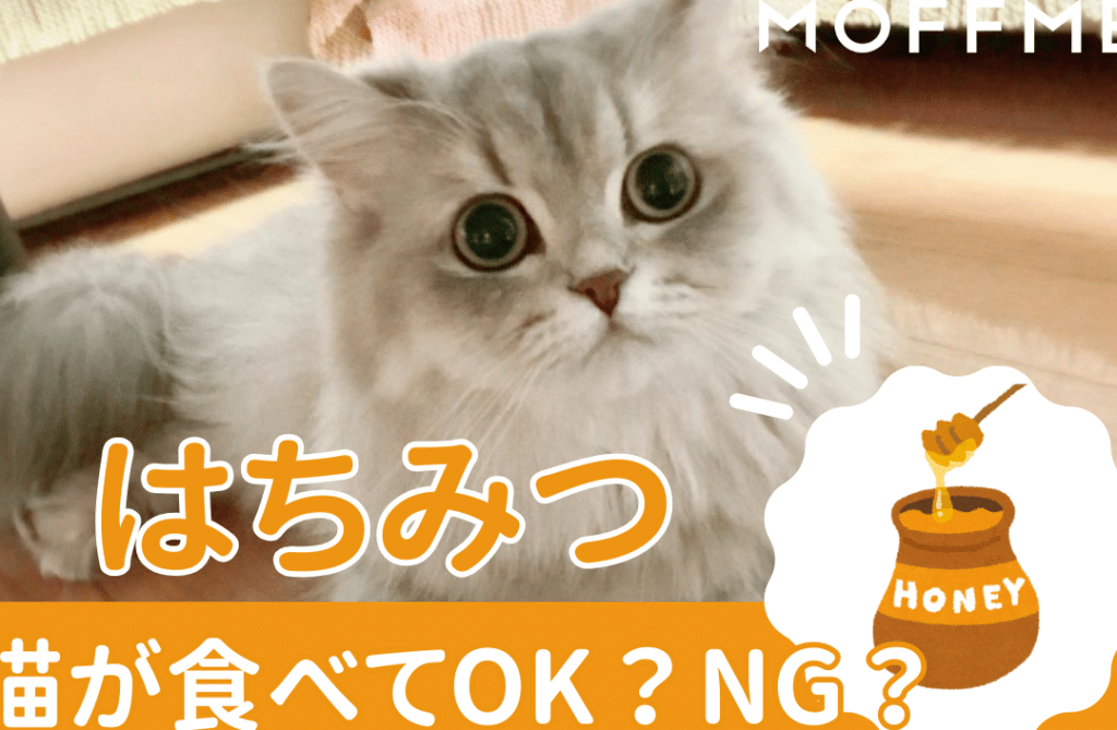 猫はちみつ: 猫に与えても大丈夫?注意点と危険性 7 e78cabe381afe381a1e381bfe381a4 e78cabe381abe4b88ee38188e381a6e38282e5a4a7e4b888e5a4abefbc9fe6b3a8e6848fe782b9e381a8e58db1e999bae680a7
