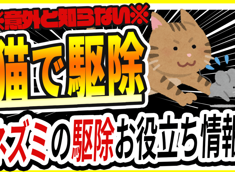 猫は害獣?猫による被害と対策 5 e78cabe381afe5aeb3e78da3efbc9fe78cabe381abe38288e3828be8a2abe5aeb3e381a8e5afbee7ad96