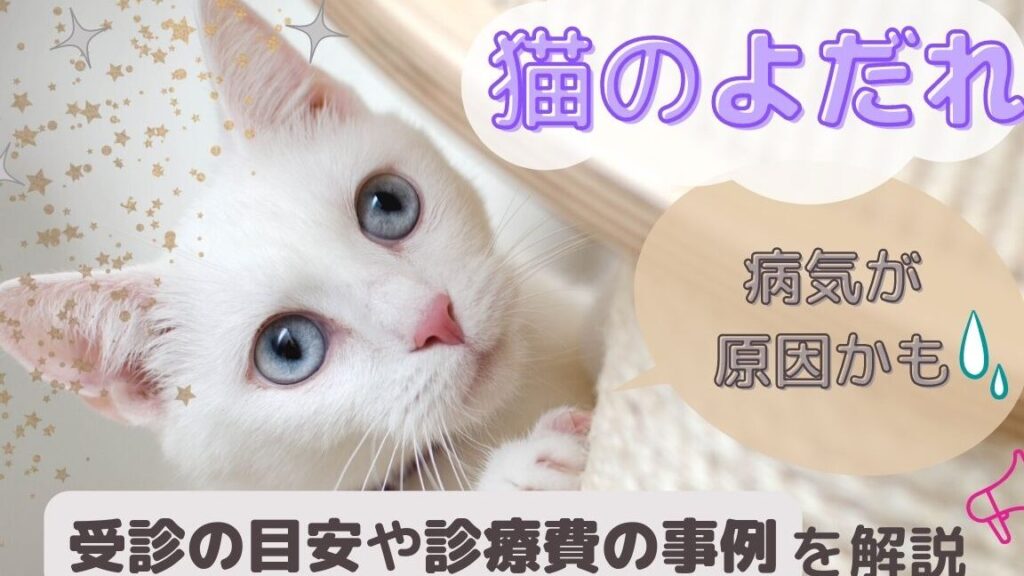 猫よだれ:原因と対処法、病院へ行く目安 5 e78cabe38288e381a0e3828cefbc9ae58e9fe59ba0e381a8e5afbee587a6e6b395e38081e79785e999a2e381b8e8a18ce3818fe79baee5ae89