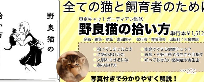 猫を拾う時の注意点!保護猫との暮らし 1 e78cabe38292e68bbee38186e69982e381aee6b3a8e6848fe782b9efbc81e4bf9de8adb7e78cabe381a8e381aee69aaee38289e38197