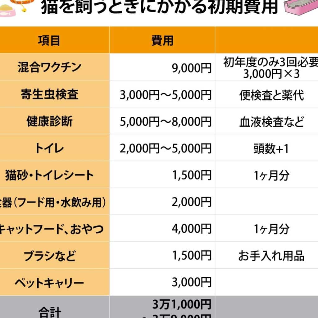 猫を飼う費用:初期費用と年間費用を解説 5 e78cabe38292e9a3bce38186e8b2bbe794a8efbc9ae5889de69c9fe8b2bbe794a8e381a8e5b9b4e99693e8b2bbe794a8e38292e8a7a3e8aaac
