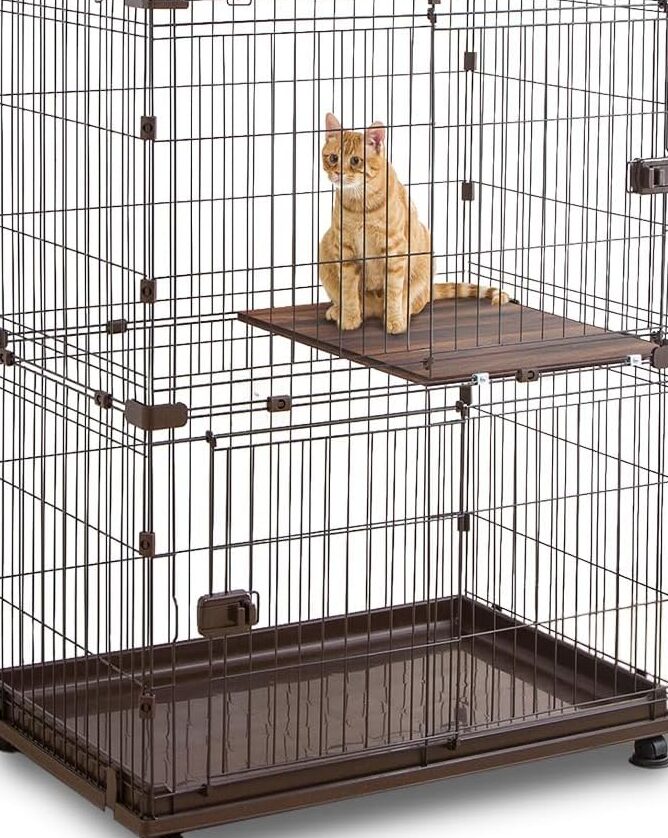 猫サークル: 安全に遊ばせるための選び方 1 e78cabe382b5e383bce382afe383ab e5ae89e585a8e381abe9818ae381b0e3819be3828be3819fe38281e381aee981b8e381b3e696b9