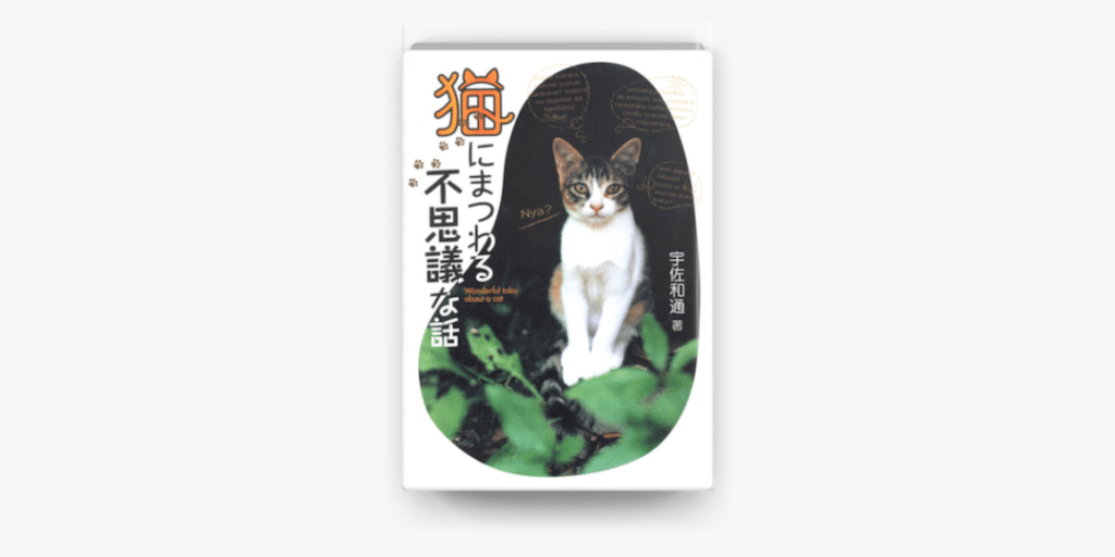 猫スピリチュアル: 猫にまつわる不思議な話 5 e78cabe382b9e38394e383aae38381e383a5e382a2e383ab e78cabe381abe381bee381a4e3828fe3828be4b88de6809de8adb0e381aae8a9b1