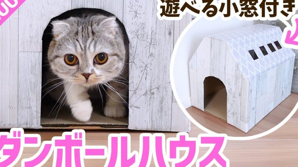 猫ダンボール: 猫が喜ぶダンボールハウスの作り方 5 e78cabe38380e383b3e3839ce383bce383ab e78cabe3818ce5969ce381b6e38380e383b3e3839ce383bce383abe3838fe382a6e382b9e381aee4bd9ce3828ae696b9