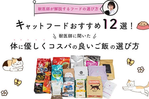 猫フード: おすすめのフードと選び方のポイント 5 e78cabe38395e383bce38389 e3818ae38199e38199e38281e381aee38395e383bce38389e381a8e981b8e381b3e696b9e381aee3839de382a4e383b3e38388