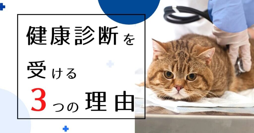 猫健康診断|病気の早期発見・予防のための検診 5 e78cabe581a5e5bab7e8a8bae696adefbd9ce79785e6b097e381aee697a9e69c9fe799bae8a68be383bbe4ba88e998b2e381aee3819fe38281e381aee6a49ce8a8ba