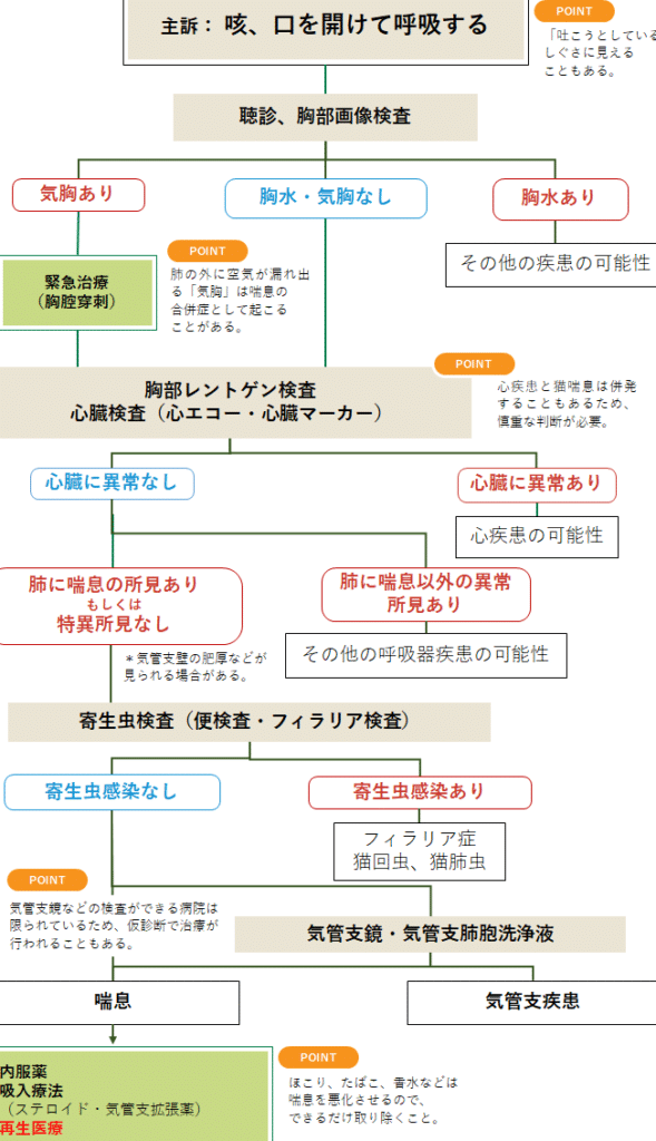猫喘息: 原因と症状、治療法 5 e78cabe59698e681af e58e9fe59ba0e381a8e79787e78ab6e38081e6b2bbe79982e6b395