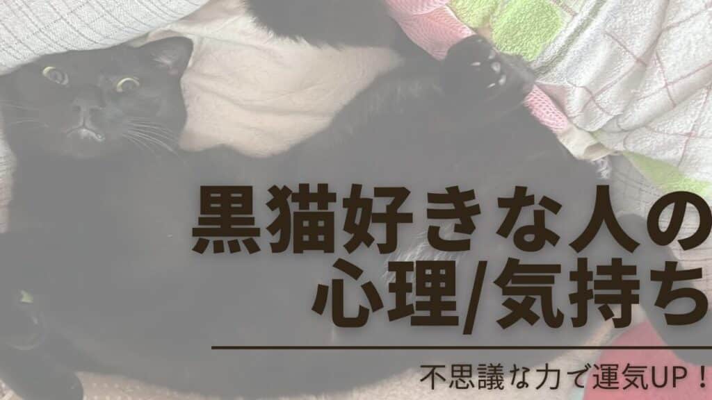 猫好きは性格が悪い!?猫好きの性格の特徴と誤解 5 e78cabe5a5bde3818de381afe680a7e6a0bce3818ce682aae38184efbc81efbc9fe78cabe5a5bde3818de381aee680a7e6a0bce381aee789b9e5beb4e381a8e8aaa4
