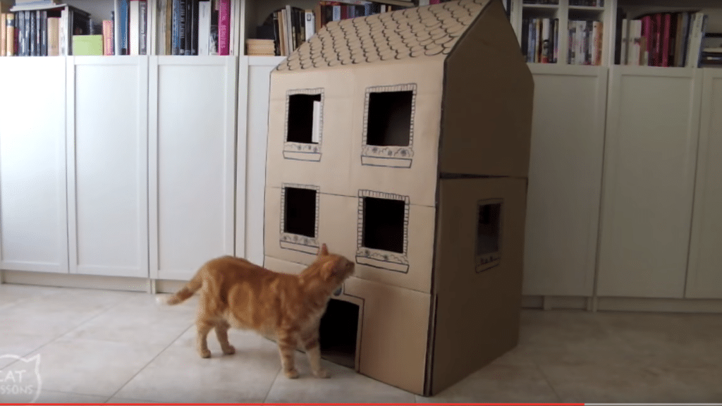 猫小屋DIY!作り方と材料、おしゃれな猫小屋のアイデア 1 e78cabe5b08fe5b18bdiyefbc81e4bd9ce3828ae696b9e381a8e69d90e69699e38081e3818ae38197e38283e3828ce381aae78cabe5b08fe5b18be381aee382a2