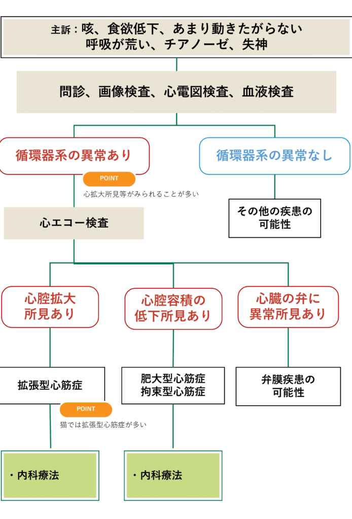 猫心筋症: 原因と症状、治療法 5 e78cabe5bf83e7ad8be79787 e58e9fe59ba0e381a8e79787e78ab6e38081e6b2bbe79982e6b395