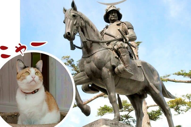 猫正宗とは?猫好きなら知っておきたい歴史上の人物 5 e78cabe6ada3e5ae97e381a8e381afefbc9fe78cabe5a5bde3818de381aae38289e79fa5e381a3e381a6e3818ae3818de3819fe38184e6adb4e58fb2e4b88ae381ae