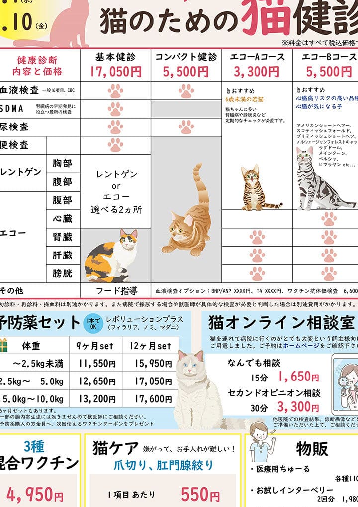 猫歯石取り: 動物病院での治療と費用 9 e78cabe6adafe79fb3e58f96e3828a e58b95e789a9e79785e999a2e381a7e381aee6b2bbe79982e381a8e8b2bbe794a8