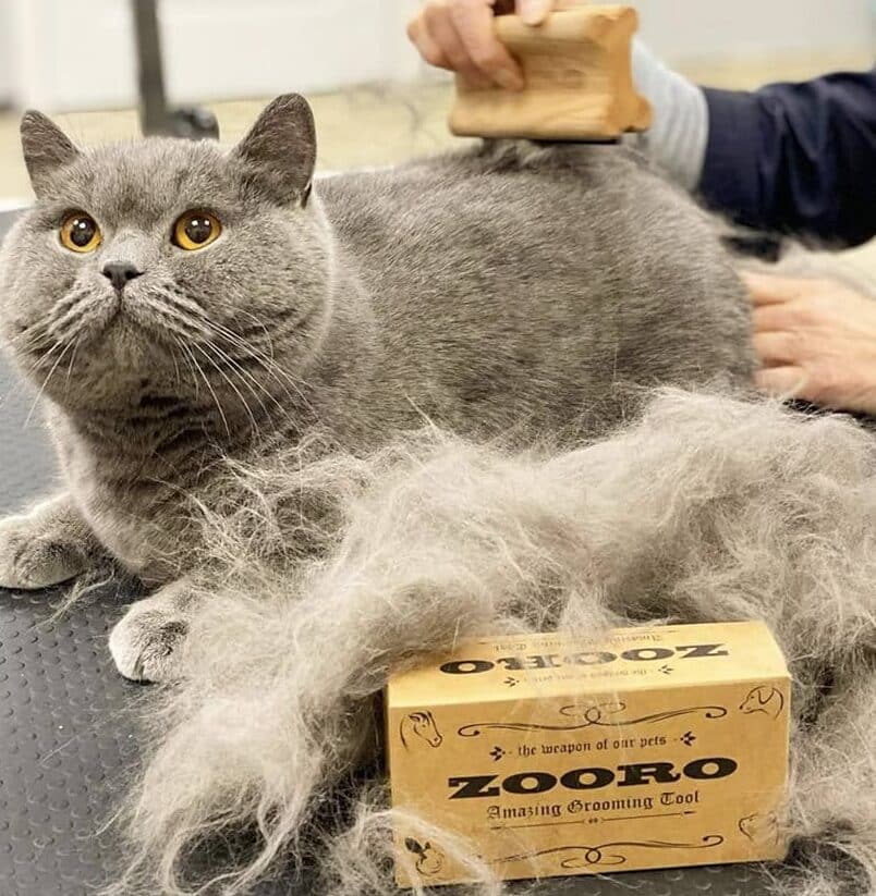 猫毛対策:猫の抜け毛対策、おすすめグッズ 1 e78cabe6af9be5afbee7ad96efbc9ae78cabe381aee68a9ce38191e6af9be5afbee7ad96e38081e3818ae38199e38199e38281e382b0e38383e382ba