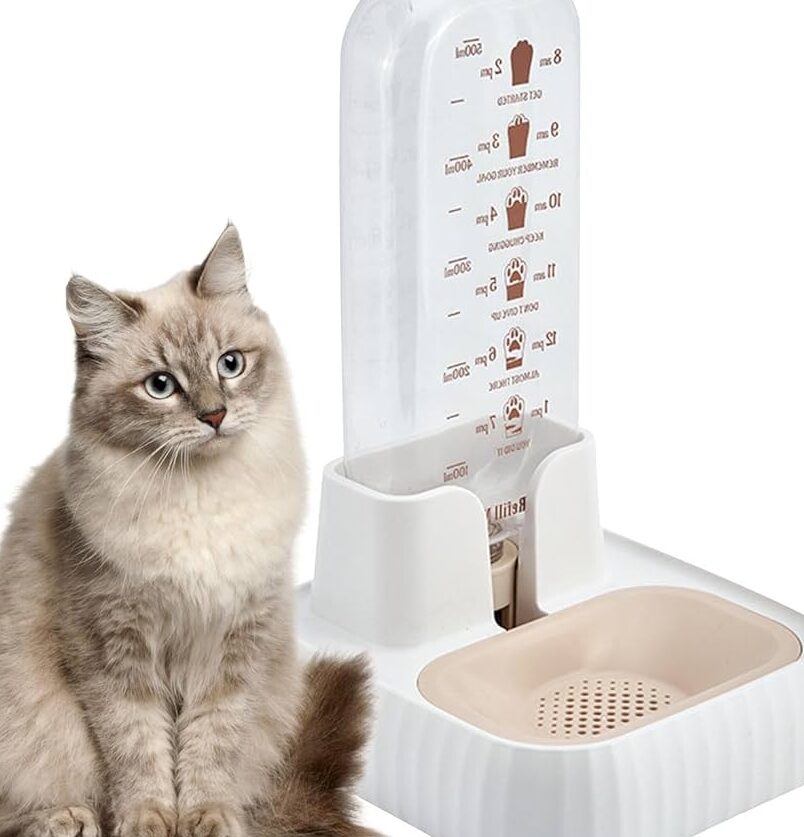 猫用ウォーターサーバーの選び方:ペットの健康をサポート 5 e78cabe794a8e382a6e382a9e383bce382bfe383bce382b5e383bce38390e383bce381aee981b8e381b3e696b9efbc9ae3839ae38383e38388e381aee581a5e5bab7