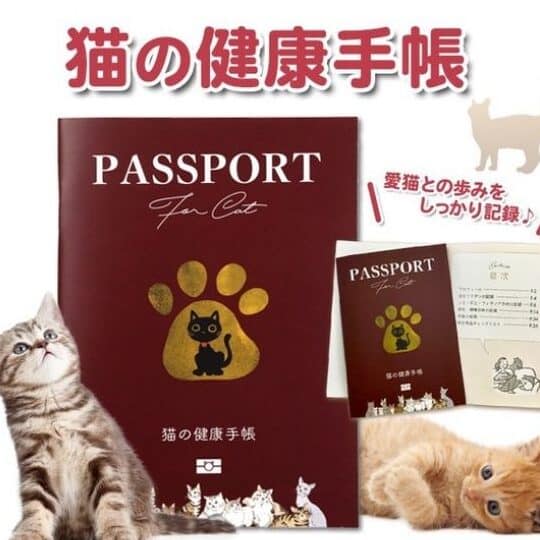 猫用グッズ:あなたの愛猫のために最適なアイテムを探す 5 e78cabe794a8e382b0e38383e382baefbc9ae38182e381aae3819fe381aee6849be78cabe381aee3819fe38281e381abe69c80e981a9e381aae382a2e382a4e38386