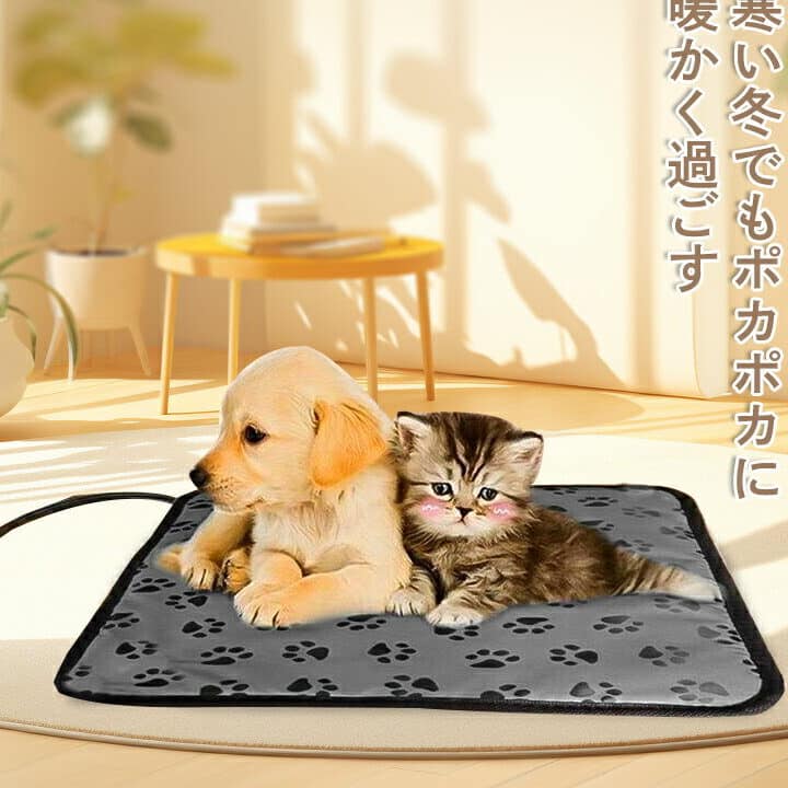 猫用ヒーターおすすめ!猫が暖かく過ごせる冬対策 5 e78cabe794a8e38392e383bce382bfe383bce3818ae38199e38199e38281efbc81e78cabe3818ce69a96e3818be3818fe9818ee38194e3819be3828be586ace5afbe