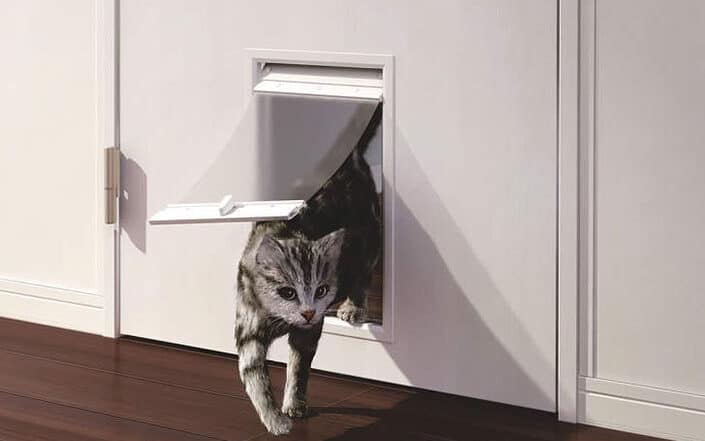 猫用扉:種類と選び方、取り付け方、注意点 1 e78cabe794a8e68989efbc9ae7a8aee9a19ee381a8e981b8e381b3e696b9e38081e58f96e3828ae4bb98e38191e696b9e38081e6b3a8e6848fe782b9