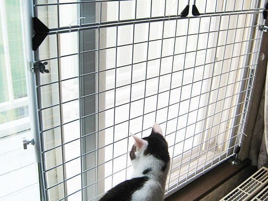 猫網戸脱走防止:猫の網戸脱走を防ぐ方法 5 e78cabe7b6b2e688b8e884b1e8b5b0e998b2e6ada2efbc9ae78cabe381aee7b6b2e688b8e884b1e8b5b0e38292e998b2e38190e696b9e6b395
