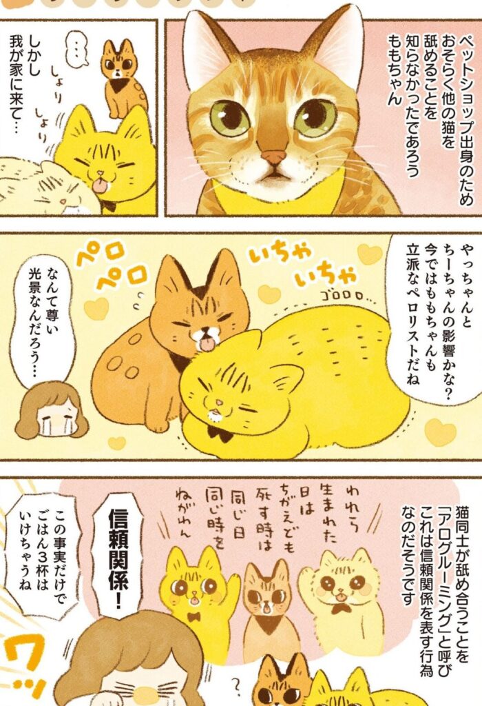 猫舐めてから噛む:猫が舐めてから噛むのはなぜ? 5 e78cabe88890e38281e381a6e3818be38289e5999be38280efbc9ae78cabe3818ce88890e38281e381a6e3818be38289e5999be38280e381aee381afe381aae3819c