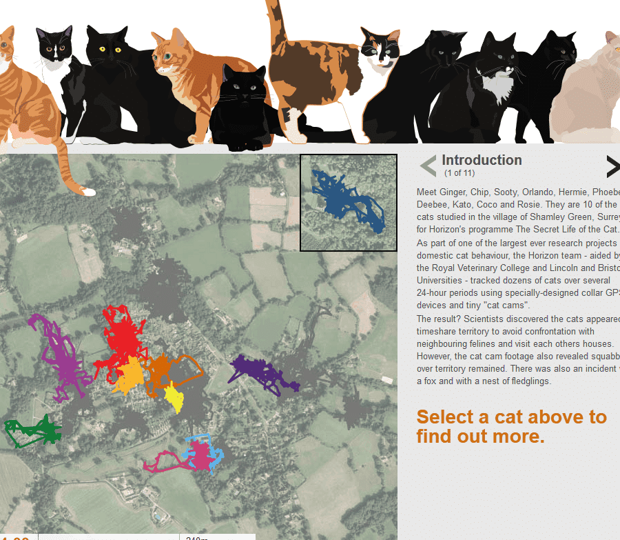 猫行動範囲:猫の行動範囲はどれくらい? 5 e78cabe8a18ce58b95e7af84e59bb2efbc9ae78cabe381aee8a18ce58b95e7af84e59bb2e381afe381a9e3828ce3818fe38289e38184efbc9f