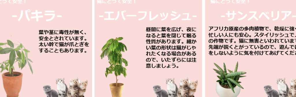 猫観葉植物: 猫にとって安全な植物と危険な植物 9 e78cabe8a6b3e89189e6a48de789a9 e78cabe381abe381a8e381a3e381a6e5ae89e585a8e381aae6a48de789a9e381a8e58db1e999bae381aae6a48de789a9