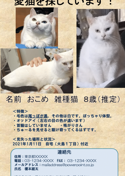 猫迷子: 探し方と予防策 9 e78cabe8bfb7e5ad90 e68ea2e38197e696b9e381a8e4ba88e998b2e7ad96