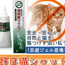 猫追い払う:猫を傷つけずに追い払う方法とは? 5 e78cabe8bfbde38184e68995e38186efbc9ae78cabe38292e582b7e381a4e38191e3819ae381abe8bfbde38184e68995e38186e696b9e6b395e381a8e381afefbc9f