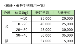 猫避妊手術:メリットとデメリット、費用相場 5 e78cabe981bfe5a68ae6898be8a193efbc9ae383a1e383aae38383e38388e381a8e38387e383a1e383aae38383e38388e38081e8b2bbe794a8e79bb8e5a0b4