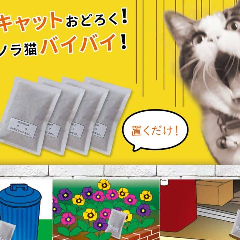 猫除け:猫を寄せ付けない方法 5 e78cabe999a4e38191efbc9ae78cabe38292e5af84e3819be4bb98e38191e381aae38184e696b9e6b395