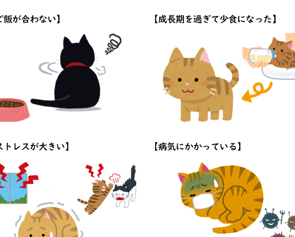 猫食欲不振食べさせ方:食欲不振の猫に、ご飯を食べさせるには? 1 e78cabe9a39fe6acb2e4b88de68cafe9a39fe381b9e38195e3819be696b9efbc9ae9a39fe6acb2e4b88de68cafe381aee78cabe381abe38081e38194e9a3afe38292
