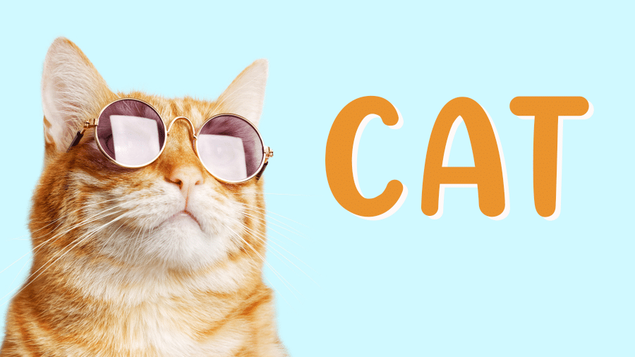 青猫ブログ: 猫に関する情報満載のブログ 1 e99d92e78cabe38396e383ade382b0 e78cabe381abe996a2e38199e3828be68385e5a0b1e6ba80e8bc89e381aee38396e383ade382b0