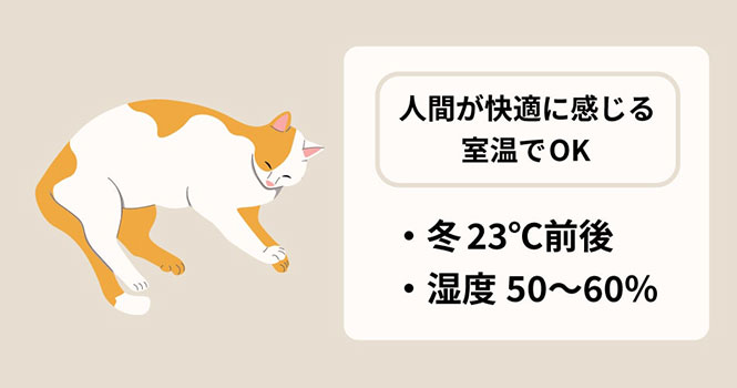 猫湯たんぽ|寒い冬もあったか快適に 8 猫が快適に感じる冬の室内温度は?